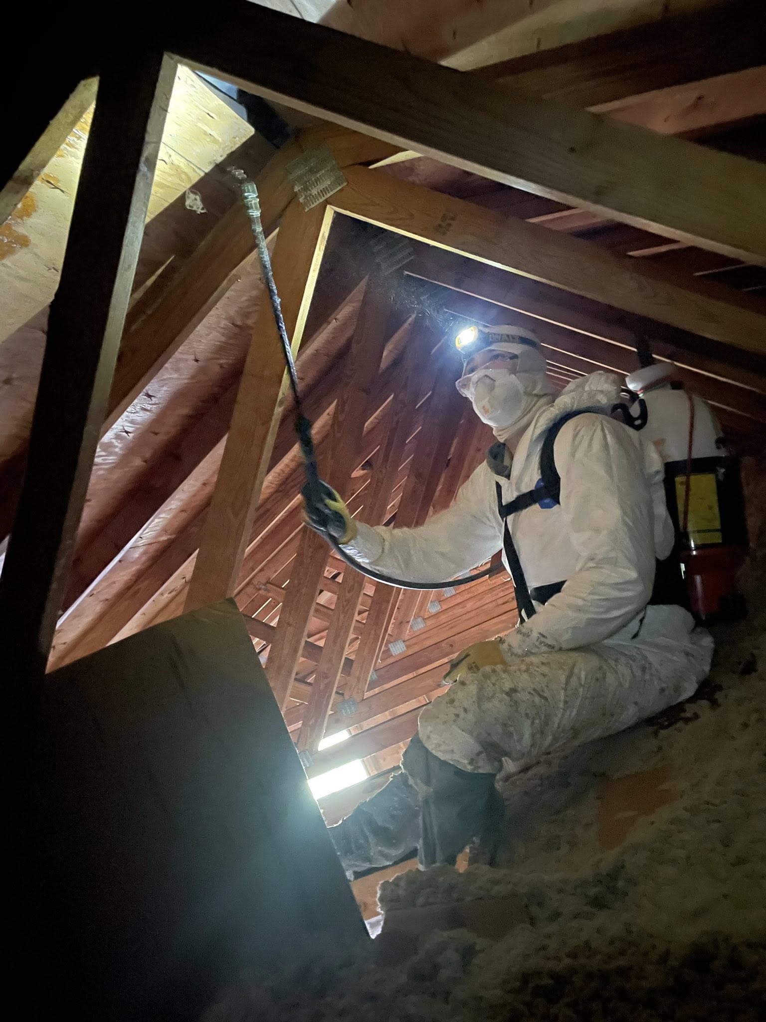 Same attic cleaned and treated after Titan mold remediation